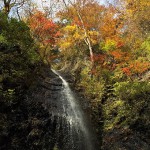 白糸の滝